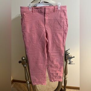 Women's LOFT Pink Trousers